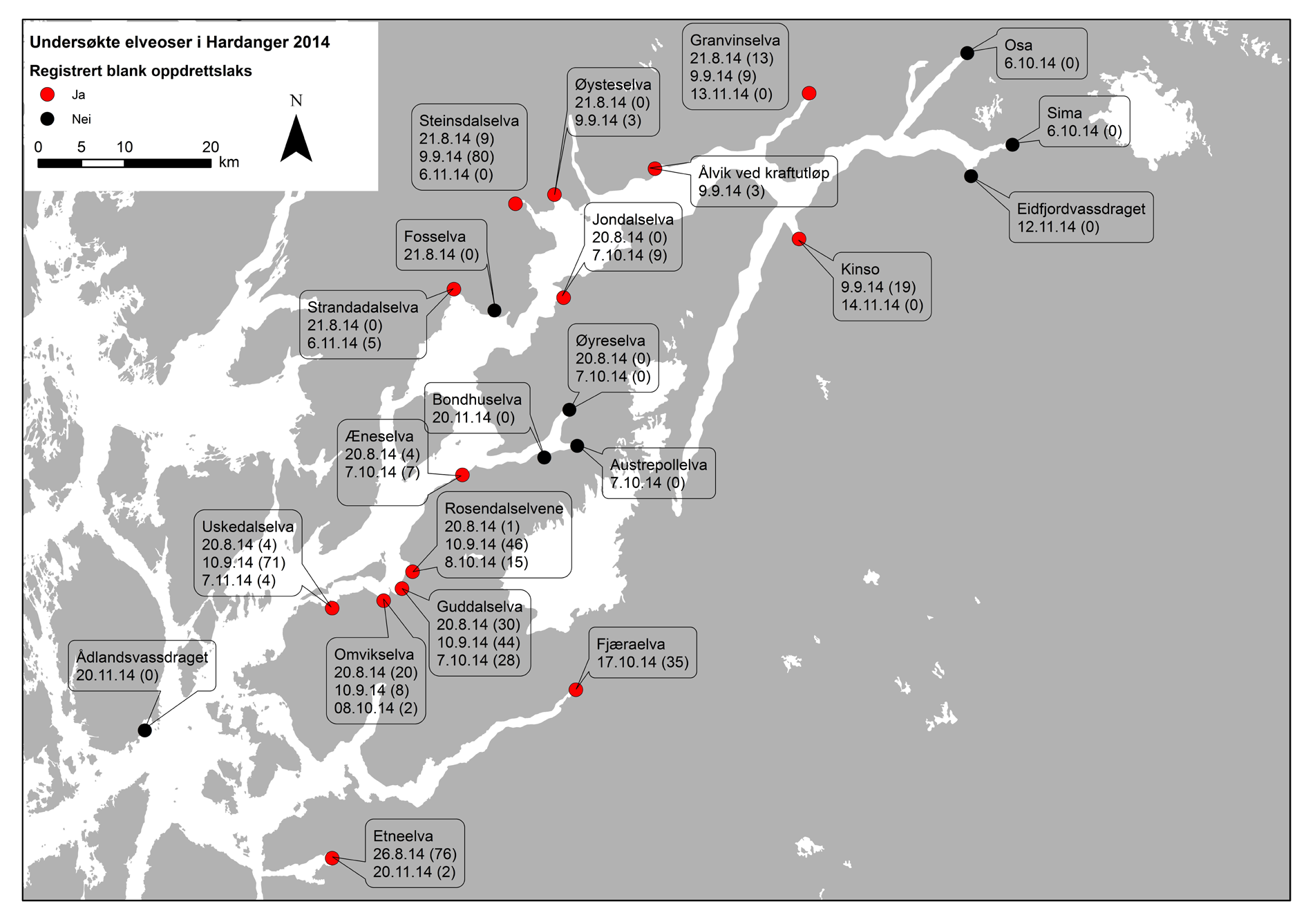 Figur 20. Oversikt over blank oppdrettslaks observert i vassdrag i Hardanger og Sunnhordland høsten 2014. Siste, evt.