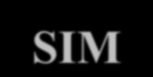 Nettelementer i GSM-R RADIONETT SENTRALT UTSTYR Basestasjon SMSC Overvåkning Bruker Basestasjon MSC (hovedsentral) IN SIM med VLR & GCR BSC TRAU SAT Radio