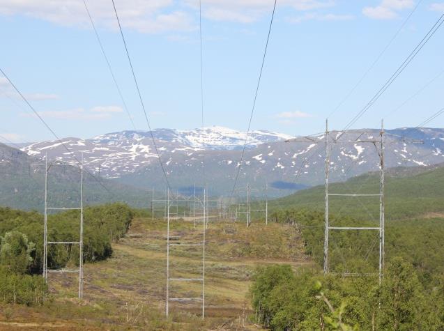 Kvandal-Bardufoss (SOW 2) Riving av 2 x 50.