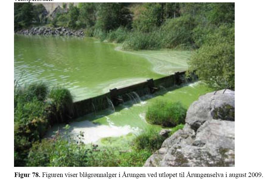 Årungselva Det benyttes en YSI 6600 multiprobe med sensorer for turbiditet, phycocyanin fluorescence og temperatur i overvåkningen.