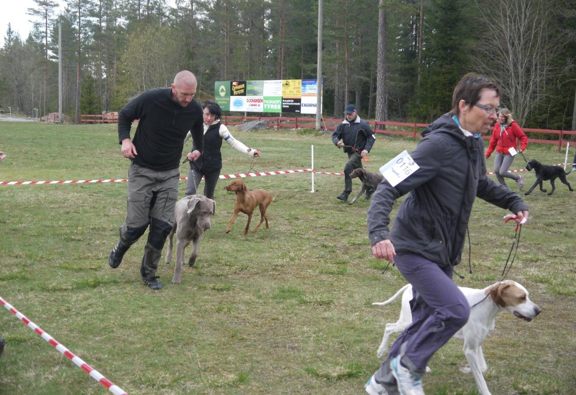 noen andre dersom vi skal ha et håp om å gå i break even på et slikt arrangement.