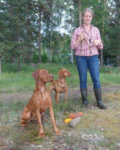 vizlsa-norge å få være med svenskene på dette. De satte også stor pris på å ha oss der for å se sine tanker fra et annet perspektiv.