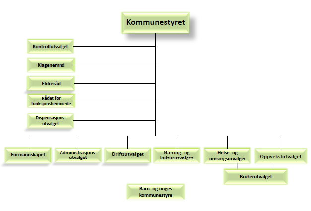 P olitisk styring og aktivitet 8 Kommunestyret er det øverste kommunale organ og har også arbeidsgiveransvar for ansatte i kommunen. Kommunestyret har 21 representanter.