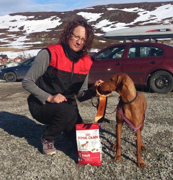 typer hunder (alle raser og størrelser), men det er visse raser (f.eks. border collie) som er spesielt godt egnet.