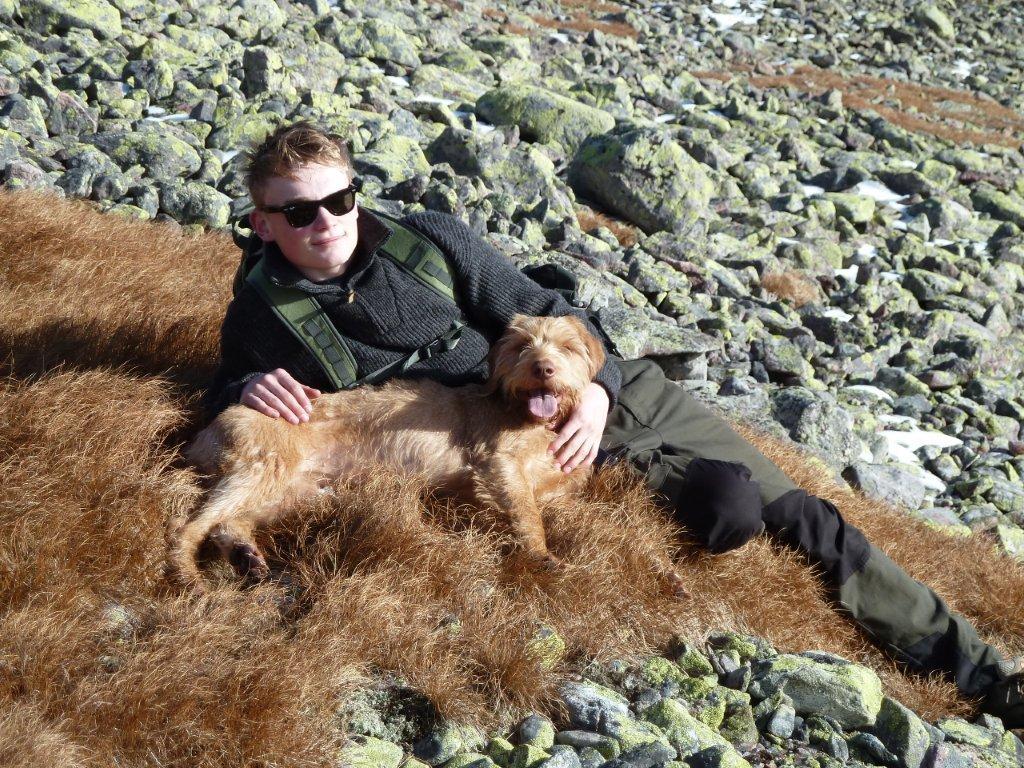 Røyting hos vizsla Av Ian Gjertz Da jeg vurderte å skaffe meg en vizsla leste jeg meg opp på rasen.