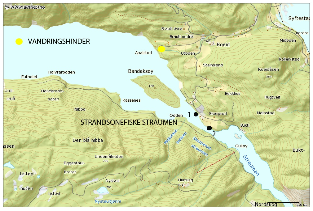 NINA Rapport 862 Figur 3.4. Plassering av stasjoner for elektrofiske i Lårdalsåi og strandområder i midtre deler av Bandak for beregning av tetthet av ørret i oktober 2011.