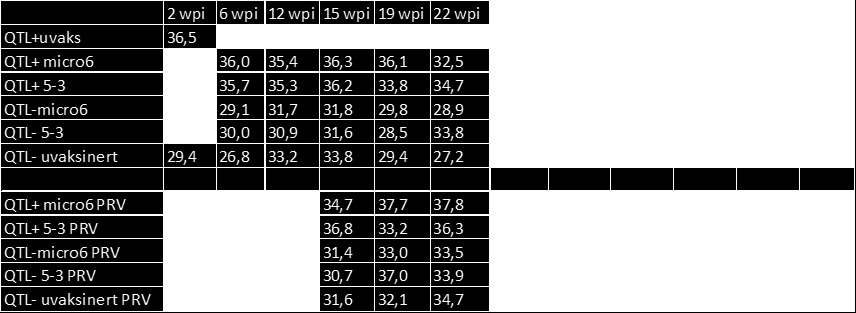 Figur 5 Figuren og tabellen viser gjennomsnitts IPNV Ct verdier 2-22 uker etter IPNV smitte i de ulike forsøksgruppene.