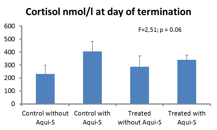 Figur 33 Vekt ved avslutning av SP2 (N kontroll = 769; N behandlet = 716). Ved avslutning var det ingen forskjeller mellom gruppene med tanke på skjelltap/skader.