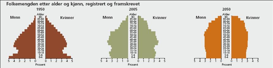 Andelen alderspensjonister i 2008 var 13 %, og i 2050 forventes det at det er 21 % alderspensjonister i Norge (NOU 2004:1).