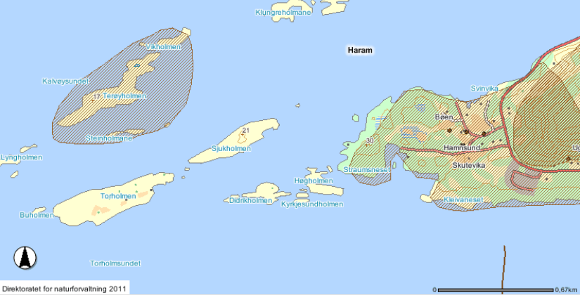 Figur 18. Terøyholmen er i Naturbasen registrert som yngleområde for vade-, måse- og andefuglar, medan heile Hamnsund er beiteområde for rådyr (begge viltvekt 1). På synfaringa den 17. og 18.