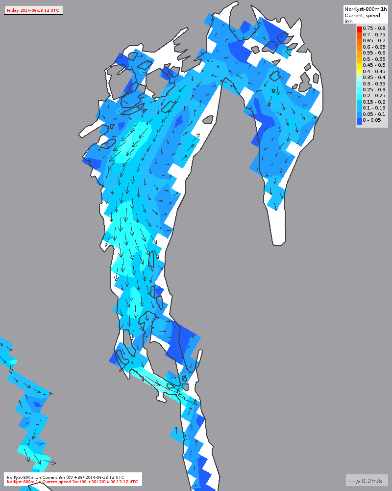 Detaljer indre fjord Strøm ut