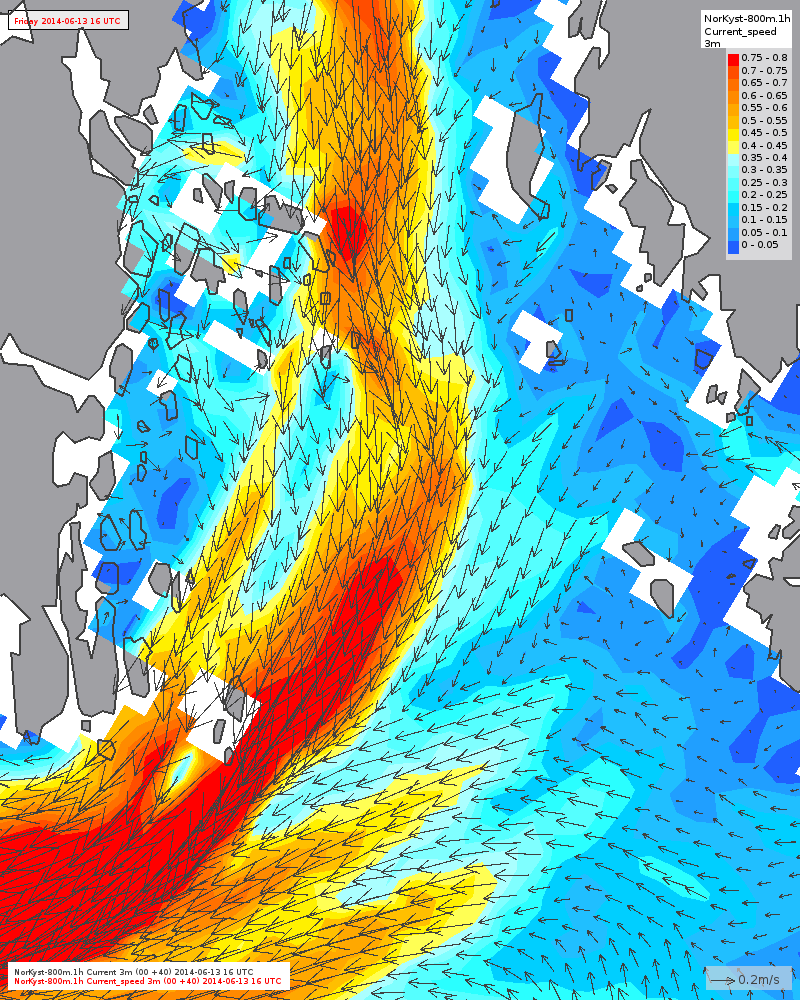 Detaljer ytre fjord Strøm ut fjorden, maksimale