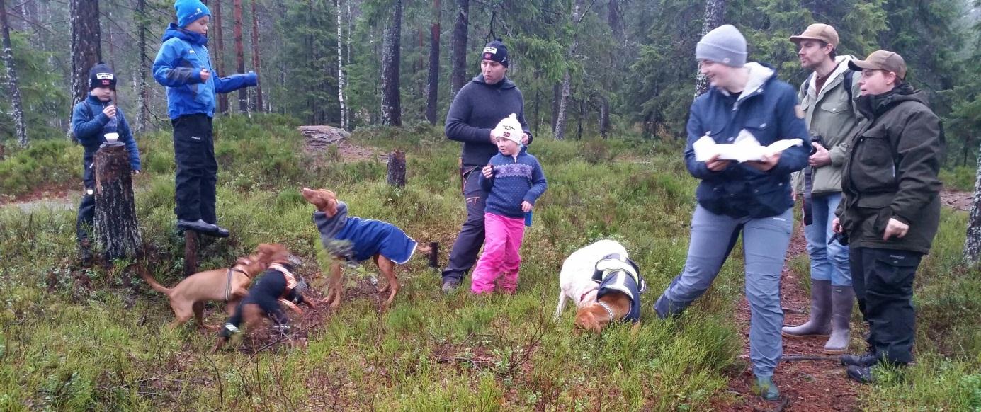 Vizslatreff i Bærum Av Sissel Jerve Det var på tide med et uformelt treff i Oslo-området igjen. Helga Bergholtz og undertegnede inivterte derfor til treff søndag 9. november.