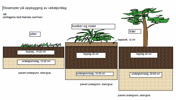 4.2.4 Treplantinger For treplantinger gjelder disse tekniske kravene: Plantedybder, på tung jord, noe høyere enn terreng. Trær i belegg: o Store trær; plantekum m.