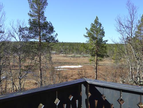 En ulv i underbuksen Av Ian Gjertz I begynnelsen av mai 2013 dro vizslaen Cilia og jeg på fjelltur, for da er gjerne forholdene flotte. Snøen er fast og fin, så den holder både skiløpere og hunder.