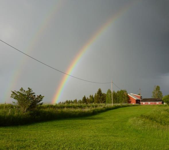 Fra trening og litt frislipp på Tyritun 25. juni.