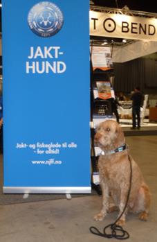 Tilbringer man dagen på stand treffer man uvilkårlig en masse folk, både med og uten hund. Denne gangen var det spesielt artig at en annen vizslaeier kom innom med hunden sin.