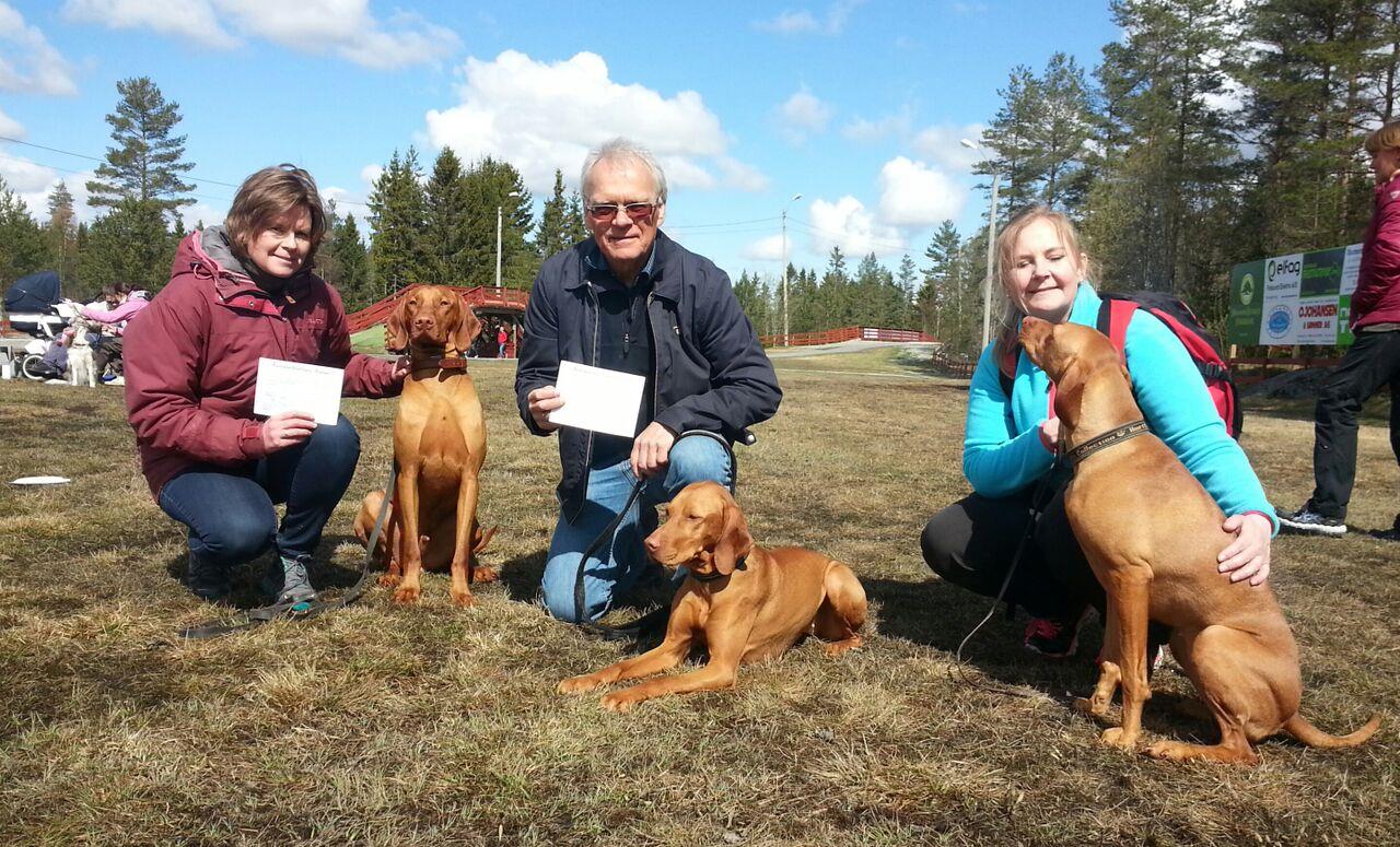 Vi hadde en vizsla som deltok på apportkonkurransen i år. Takk til Jon Sverre Torp som tok utfordringen med Kira. Det var god reklame for rasen.