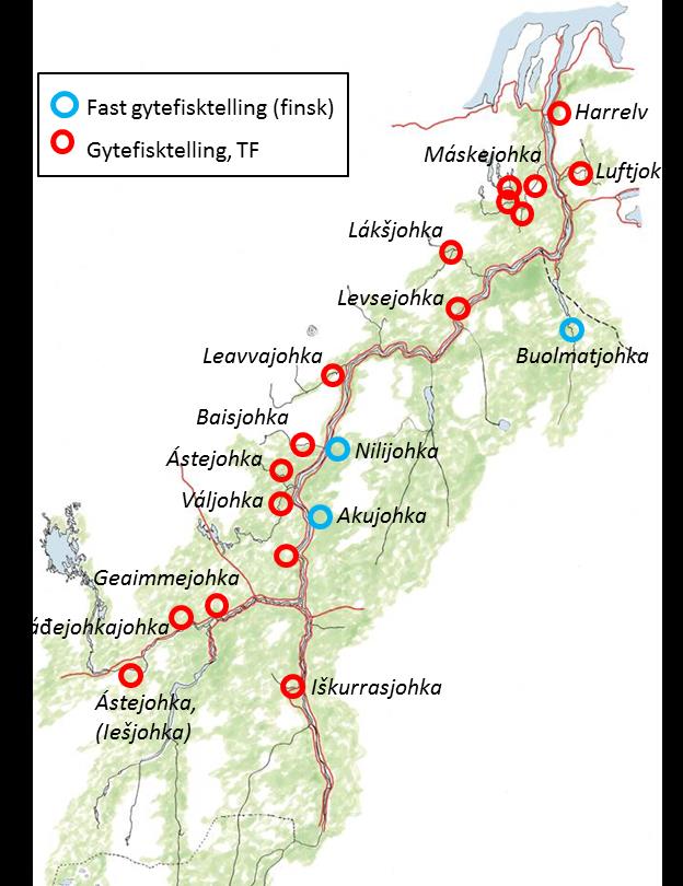 Figur 6: Oversikt over drivtelling i regi av TF i perioden 2011-15. De fleste tellingene er utført i perioden før gytetida, og er utført for å få en oversikt over antall gytefisk.