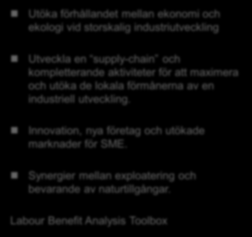 Grön tillväxt policy och planeringsstöd WP5 Utöka förhållandet mellan ekonomi och ekologi vid storskalig industriutveckling Utveckla en supply-chain och kompletterande aktiviteter för att maximera