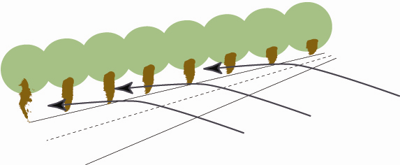 si at planteavstand fra veibanen bør være på ca 15 m ved fartsgrense 80 km eller mer. Dette vil gi ha god virkning om vinteren uten at trærne ødelegges av saltsprut 6.