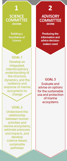 qualitative and quantitative data, and which can be used to address both specific advisory questions and broader ecosystem issues Supporting activities Goal 3 -