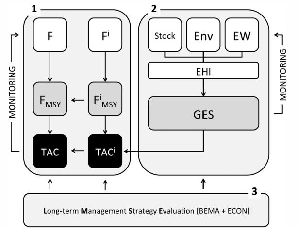 including 1) multispecies fish stock assessments, 2) ecosystem