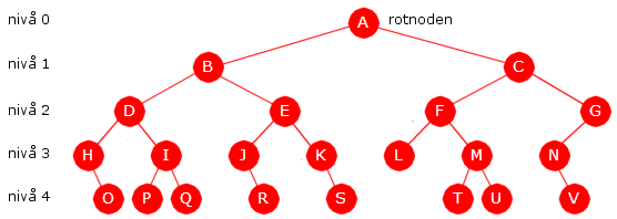 Delkapittel 5.1 Binære trær side 1 av 71 Algoritmer og datastrukturer Kapittel 5 - Delkapittel 5.1 5.1 Binære trær 5.1.1 Binære trærs egenskaper Binære trær (eng: binary tree), og trær generelt, er en viktig datastruktur.