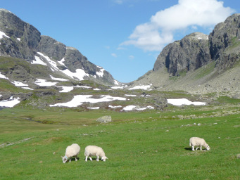 Viktige føringer for planarbeidet (kap.