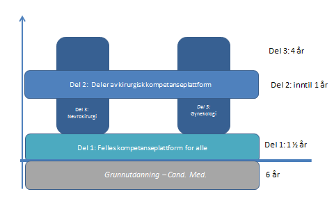Nåværende læringsmål for de enkelte spesialiteter må revideres i henhold til de nye kravene. Det vil være fullført del 3 i spesialiseringen som gir grunnlag for godkjenning som spesialist.