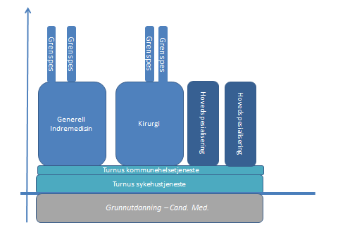 Figur 5.2 Dagens spesialitetsstruktur Det har også utviklet seg subspesialiteter som kan bygge enten på hovedspesialitet eller som en videreutdanning av en grenspesialitet i et avgrenset fagområde.