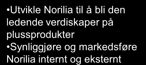 Strategiplan Norilia 2010-15 Misjon for Nortura- Norilia: Salgskanal på plussprodukter hvor vi kan skape merverdier Optimalisere produkter, markeder og prosesser på plussprodukter Hovedansvar for