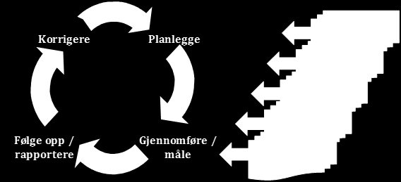 Overordnet vurdering virksomhetsstyring Administrerende direktør Rapportering/ Mål/krav oppfølging Nivå 2 Nivå 3 Nivå 4 Følge opp Informasjon og kommunikasjon Tiltak for å ha styring og kontroll