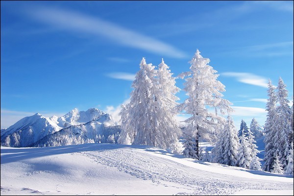 Den kan jeg trenge nå tenker jeg, når jeg ser ut av vinduet og snøen laver ned. Det er en skikkelig god gammeldags vinter i år.