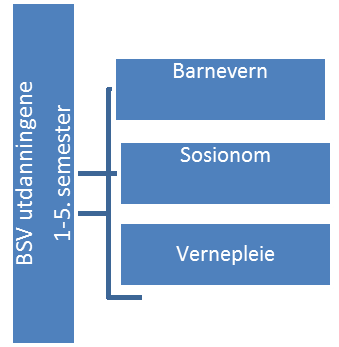 Bacheloroppgaven (30 stp) 6.