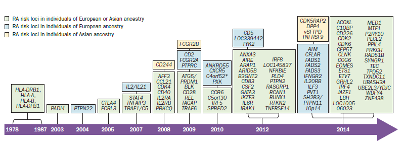 15 1.3.1 GWAS i RA og autoimmune sykdommer GWAS har de siste 10 årene bidratt til identifiseringen av de totalt 101 RA risiko loci funnet.