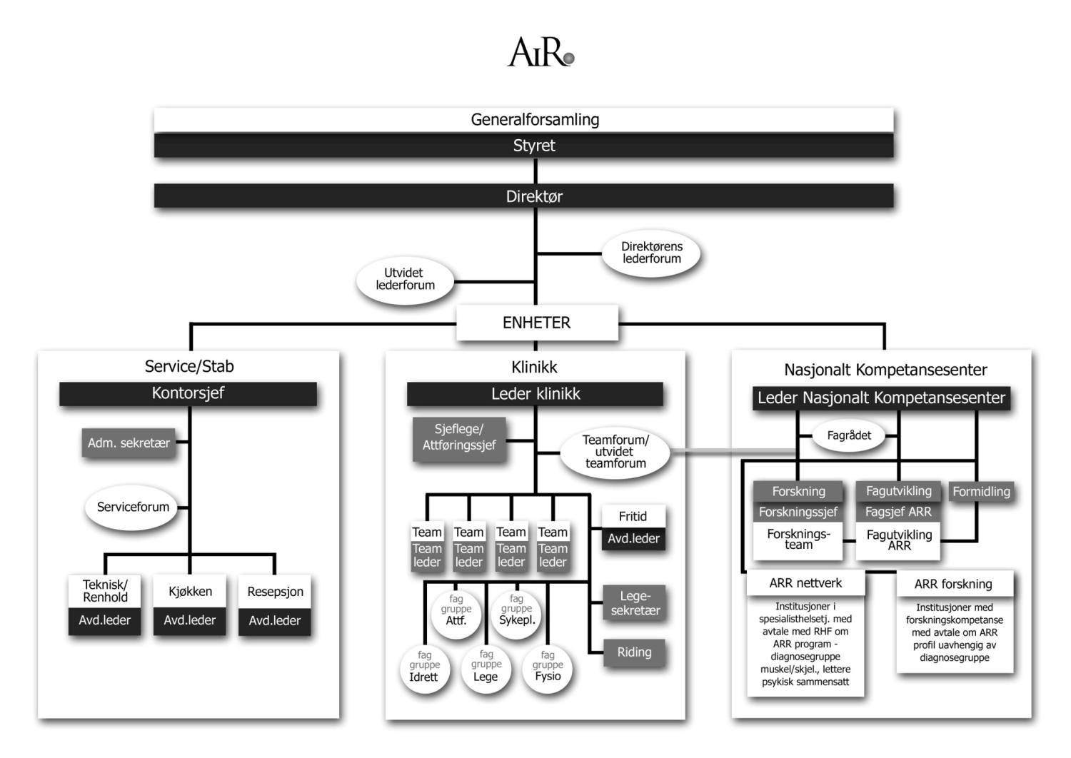 AiR - Nasjonalt kompetansesenter Etablert 2005 Målet er å