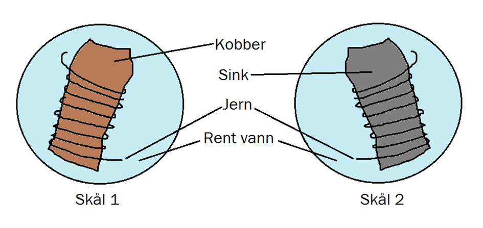 s) Korrosjon Du har to skåler merket 1 og 2. I skål 1 er det en bit kobber med jerntråd rundt, i skål 2 er det en bit sink med jerntråd rundt (se figur 8).