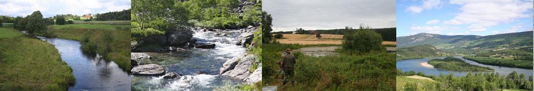 Etableringen av FNF er et samarbeid mellom Norsk Friluftsliv, Samarbeidsrådet