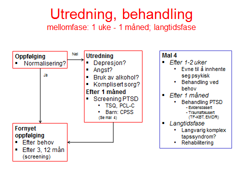 Fritt etter Nash et al., 2012 Innsatspersonell Prinsippene i STOUB-modellen er aktuelle også her.