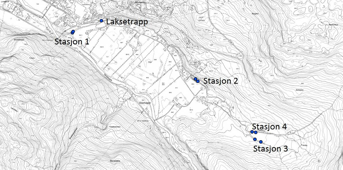 Ecofact AS Side 36 naturgitte forholdene ville vi vurdert løpet ved stasjon 3 som det gunstigste.