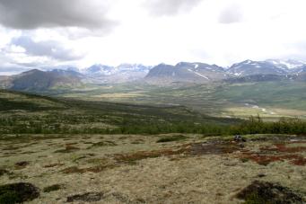 Innerdalen Dalsbygda west Fjesetfjellet Skjellom Sør Helgeland 1 Nekjådal Kvikne stat C Dalsbygda East Bulona Mykleby Båttjønndalen Middagskneppen Namsskogan stat Drevfjellet Uppnosi Sota