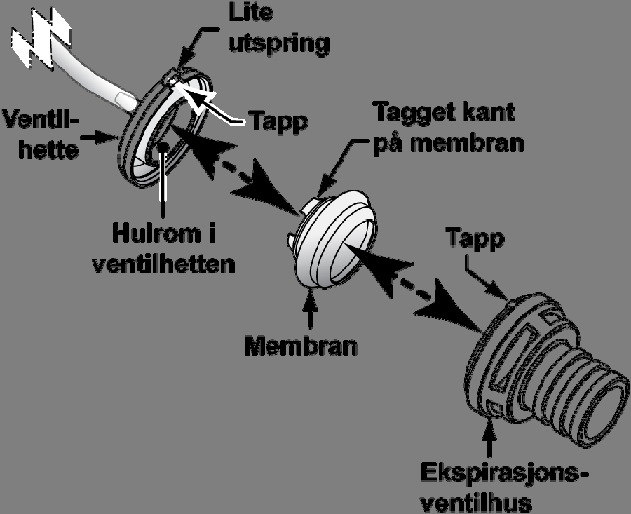 Slik rengjør du ekspirasjonsventilen, måleslangene, Y-stykket og pasientkretsen: 1) Fjern synlig smuss og legg i bløt i minst 10 minutter.