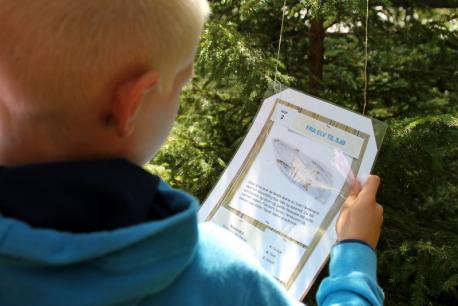 Figur 4. Fangst av lakseunger og sandkryper ved notfisket opp for Hvåra bru (antall).