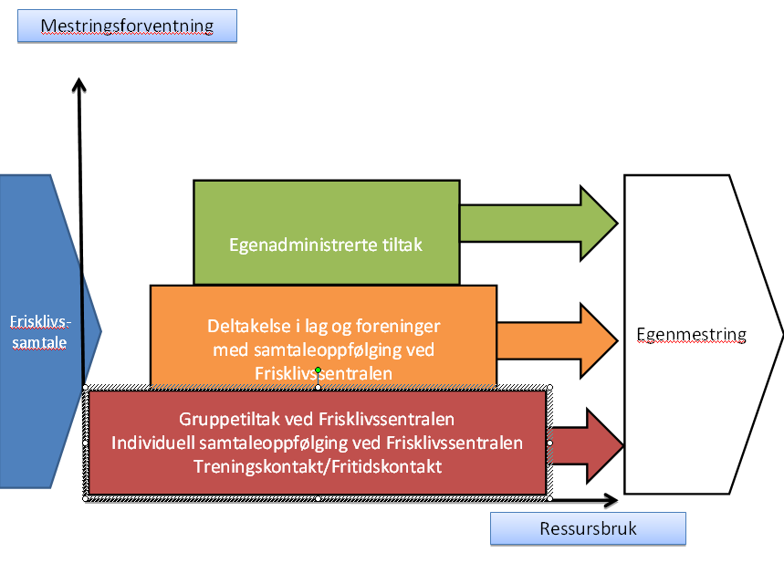 Illustrasjon 1: Hva skjer ved en henvisning ressursbruk og tiltak 2.4.