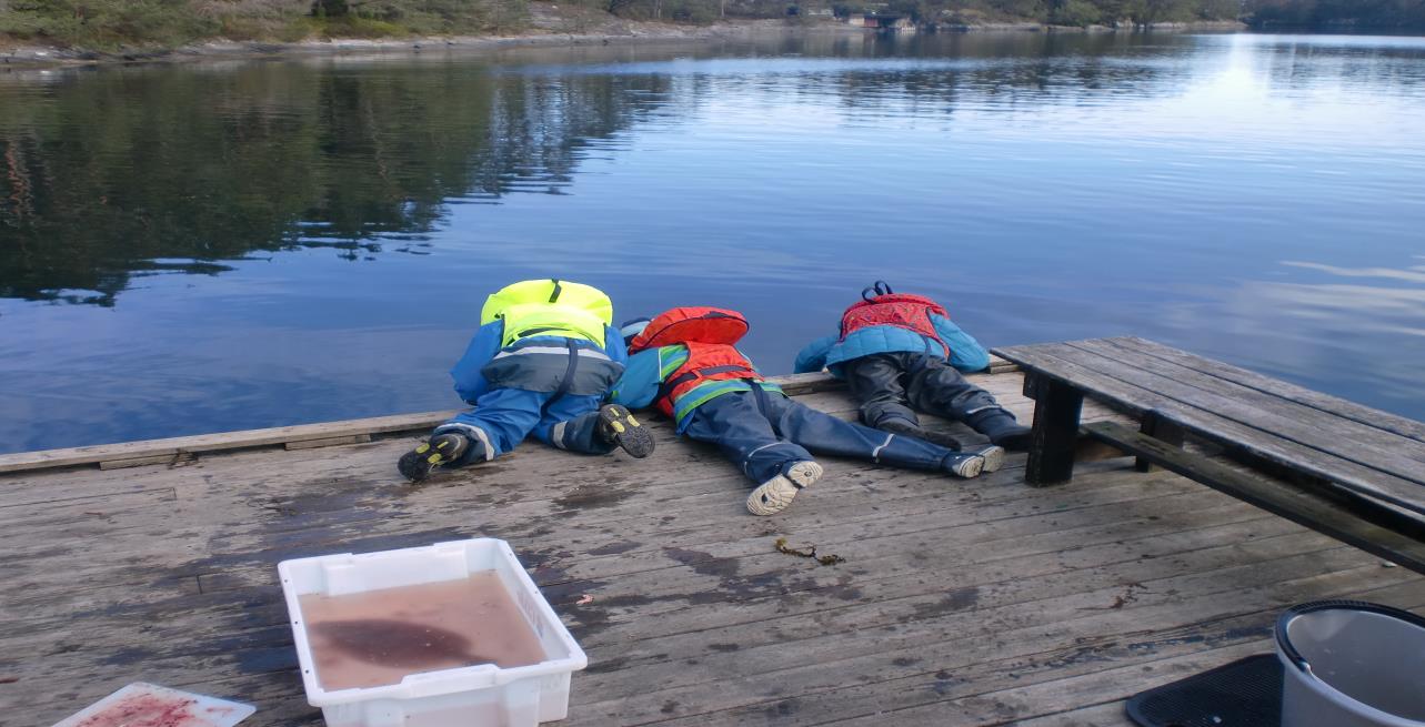 Barnehagens egenart KIDSA Øvre Sædal er en barnehage med tre baser. Hver base har barn i alder 1-6 år. Vi ønsker at alle barn i alle aldre skal kunne oppleve glede av hverandres selskap.