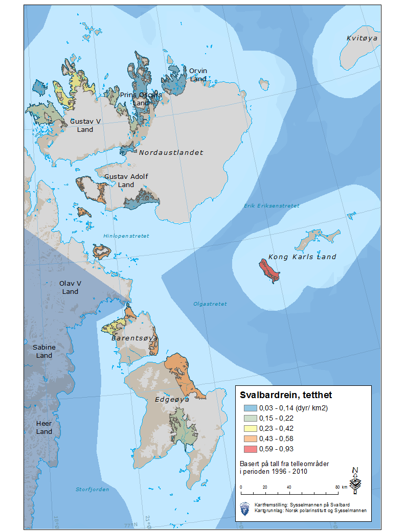 Temakart 4: Tetthet av svalbardrein basert på