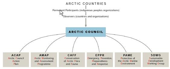 Arbeidsgruppe under Arktisk råd Forebygging,