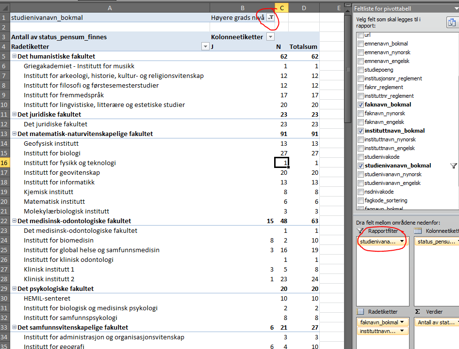 Flere muligheter Ved å stå i en av cellene i krysstabellen får man ute til høyre opp en liste over kolonner (fra Datagrunnlag) som man kan bruke i tabellen.