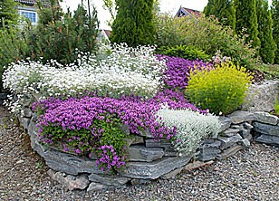 Han er redaktør i Norsk Hagetidend og hagen hans ble presentert i Grønn glede i sommer. Han vil gi tips om hvilke stauder vi kan plante for å få blomstring gjennom hele sesongen, i sol og skygge.